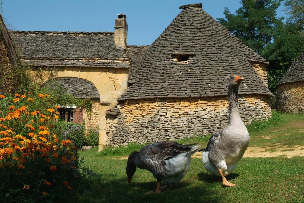 Madame Vacances - Residence Du Golf D'Armagnac Eauze Rom bilde